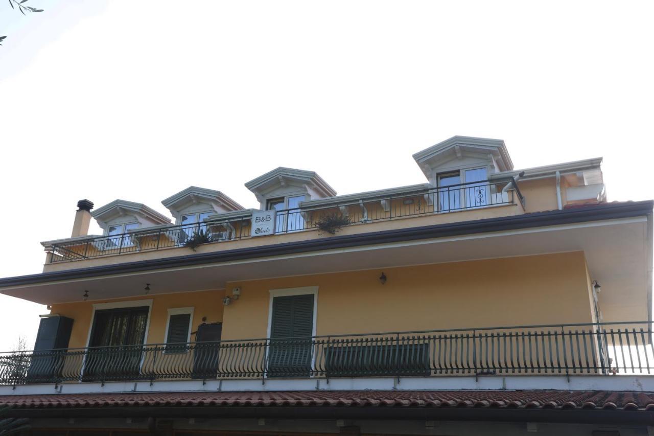 B&B Oliveto Касерта Екстериор снимка